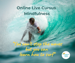 Mindfulness online cursus live 2021